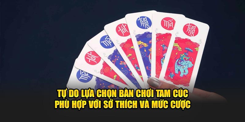 Tu-do-lua-chon-ban-choi-tam-cuc-phu-hop-voi-so-thich-va-muc-cuoc